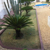 Paisagismo